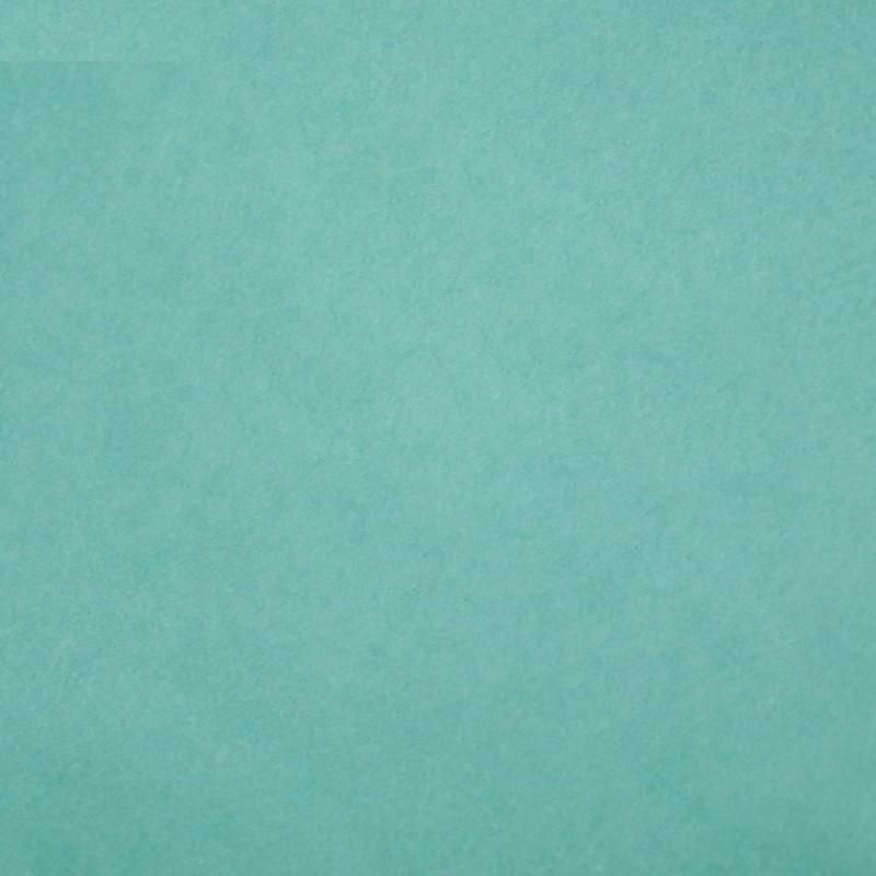 Бумага тишью зеленая 50x66 см